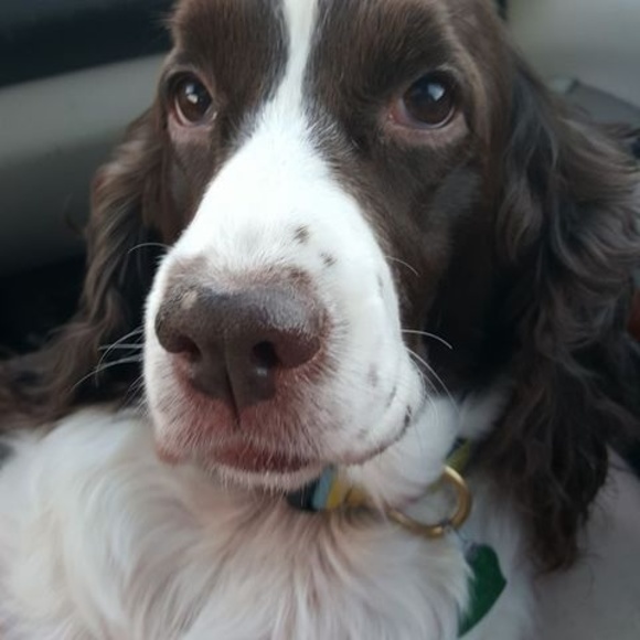 Meet your Posher, Brian - Picture 1 of 1